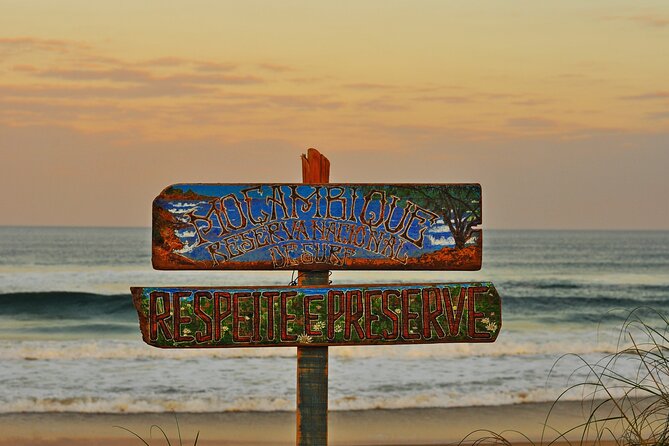 Mozambique Beach in Two Roads, Bike Tour - Pine forest, restinga, and the route between stops