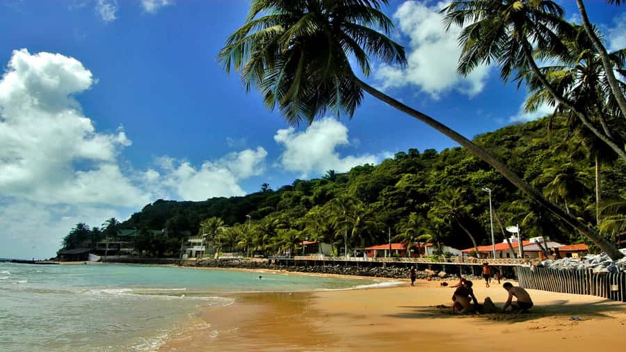 Natal: South Coast Day Tour by 4X4 with Pickup - What the full-day route really offers