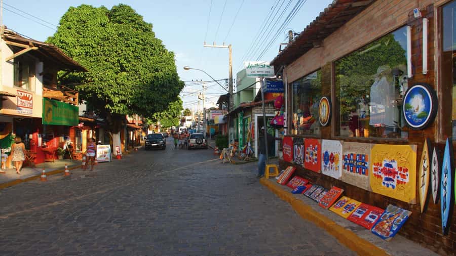 Natal: South Coast Day Tour by 4X4 with Pickup - The World’s Largest Cashew Tree