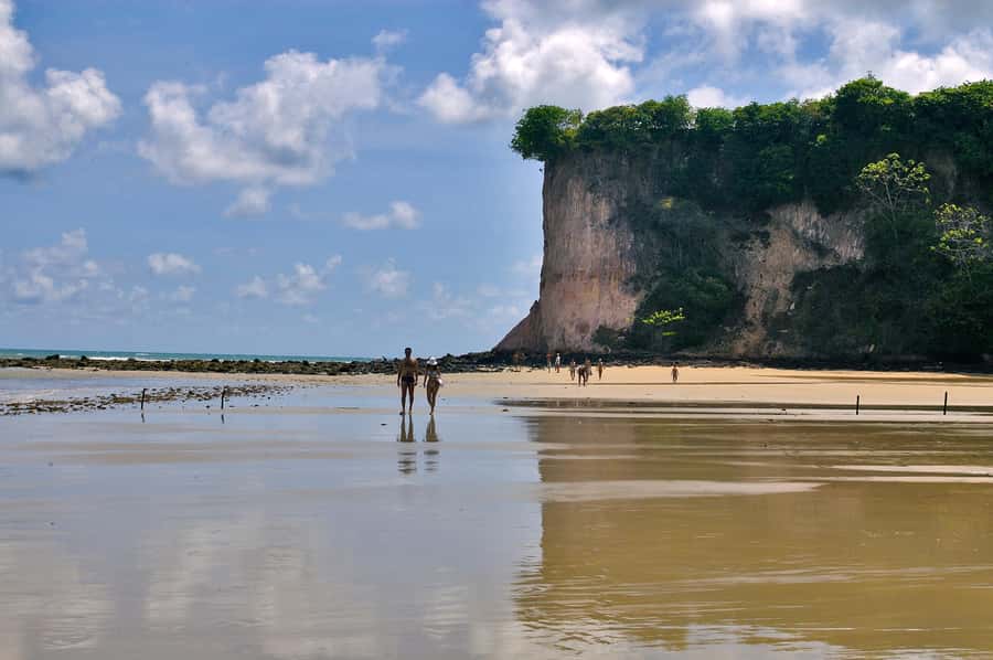 Natal: South Coast Day Tour by 4X4 with Pickup - How the 4x4 format affects the day