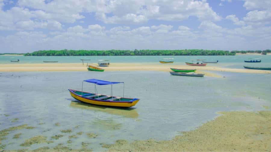 Natal: Tour to Galinhos - Lunch at Galos Beach