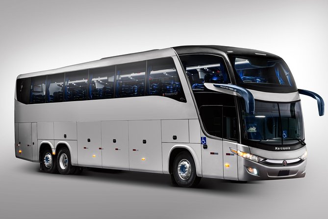 One Way Shared Transfer from Airport to hotels in Manaus - What the one-hour ride means for your arrival