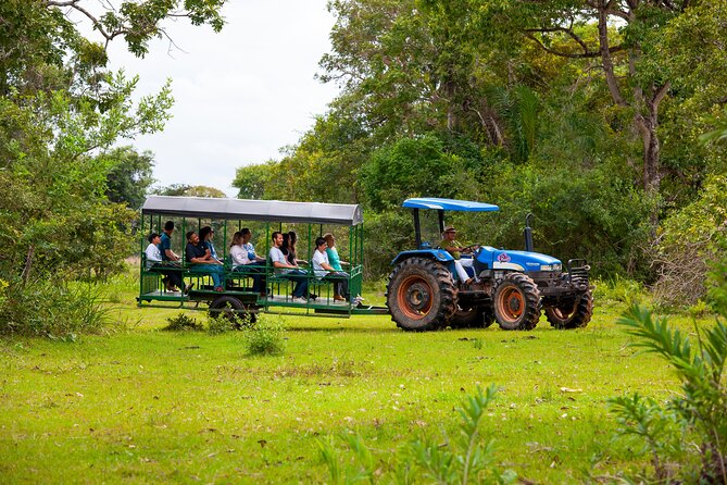 Pantanal Norte Classic Package 2 - 3 or 4 nights - Extra activities on the longest stays