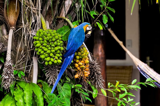 Pantanal Norte Classic Package 2 - 3 or 4 nights - Is $1,217 a fair price?