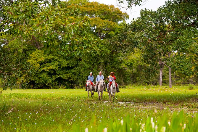 Pantanal Norte Classic Package 2 - 3 or 4 nights - Who should book this Pantanal package?