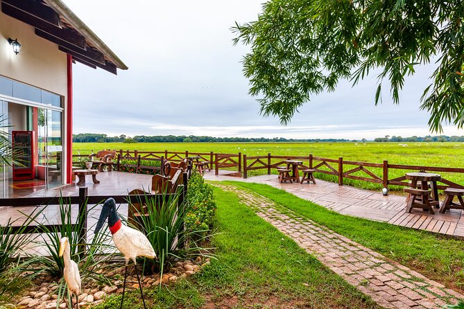 Pantanal Norte Classic Package 2 - 3 or 4 nights - Arriving at the lodge and meeting the Pantanal