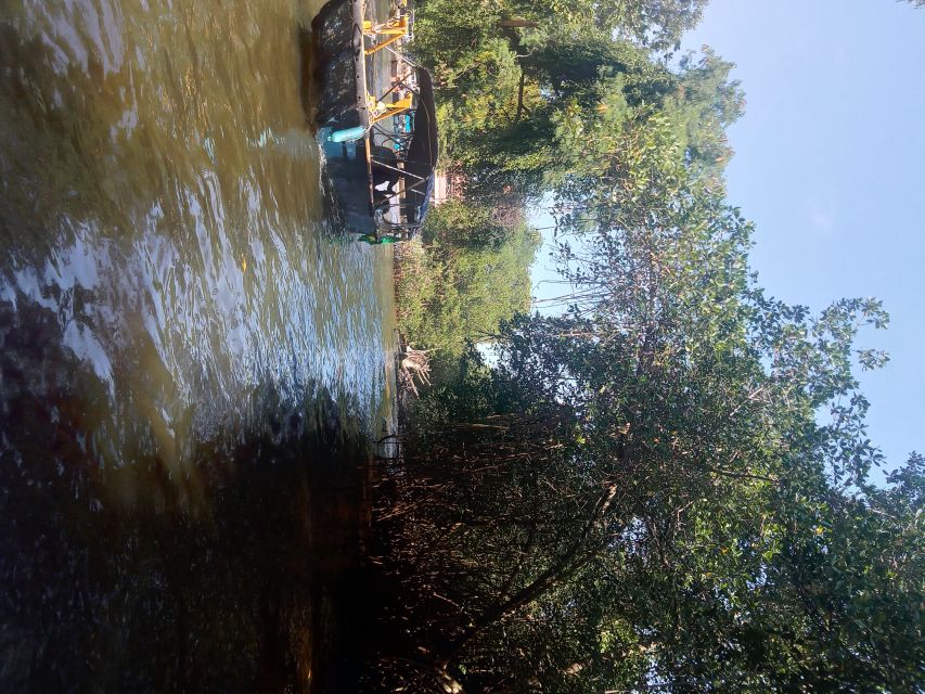Pantanal of Rio de Janeiro - Should you book the Pantanal of Rio de Janeiro?