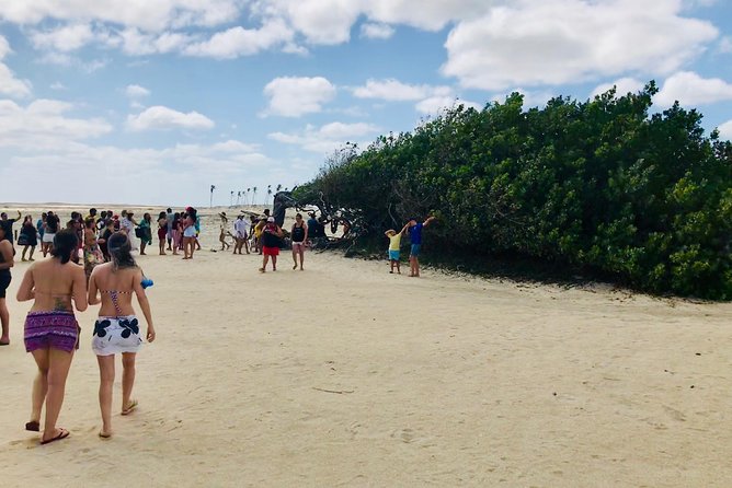 Paradise Lagoon tour - Pedra Furada brings a famous first photo