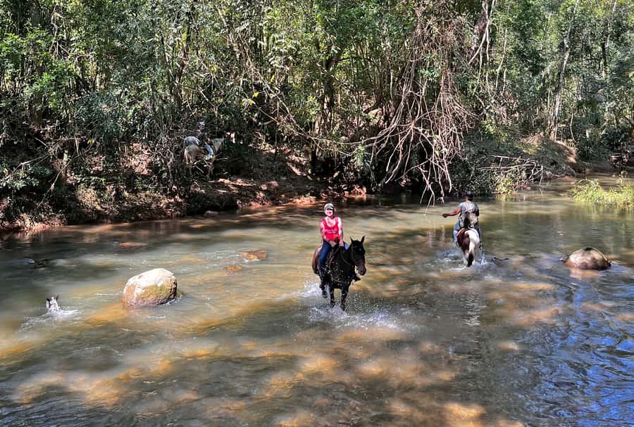 Paraty: 3-Hour Rainforest Horseback Ride - Key points at a glance