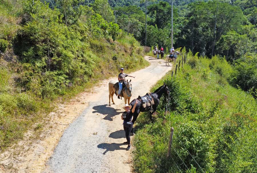 Paraty: 3-Hour Rainforest Horseback Ride - Who should book this ride?