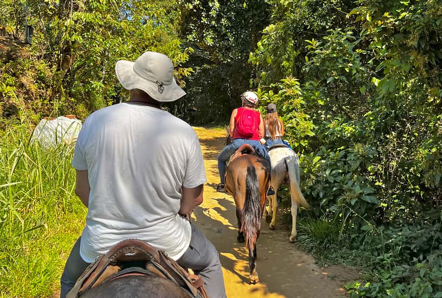 Paraty: 3-Hour Rainforest Horseback Ride - From central Paraty to the Pedras Azuis trail
