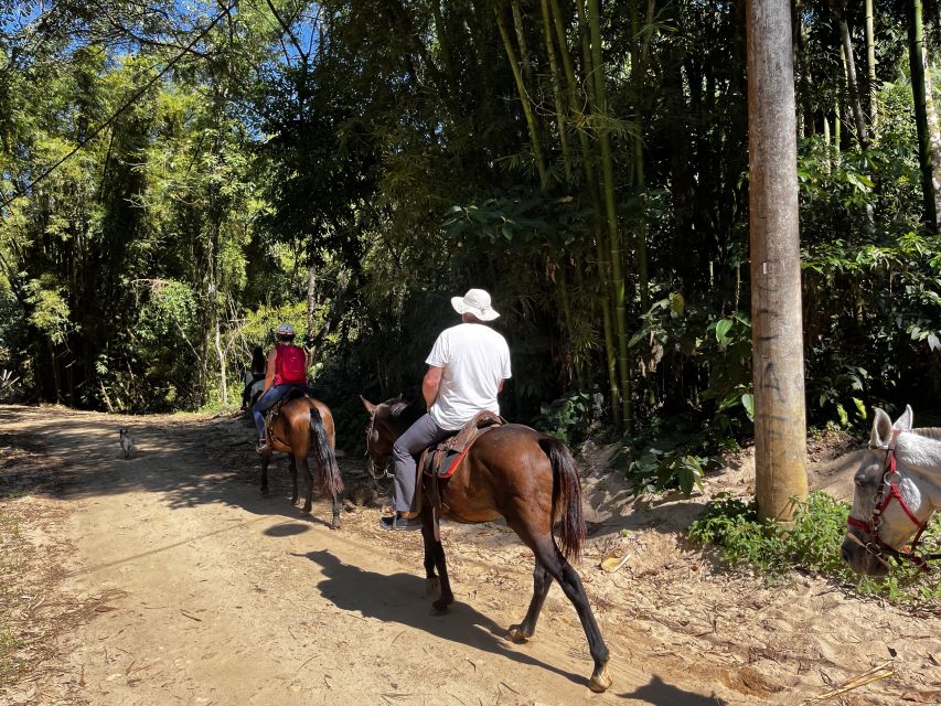 Paraty: 3-Hour Rainforest Horseback Ride - Forest trails, plains, and a gentler riding rhythm