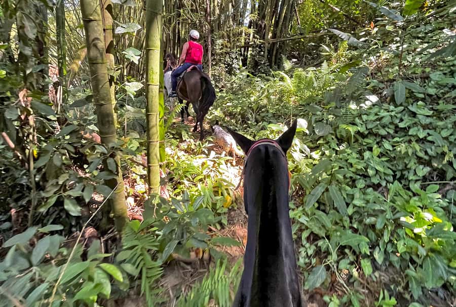 Paraty: 3-Hour Rainforest Horseback Ride - Waterfall stops where you can bathe