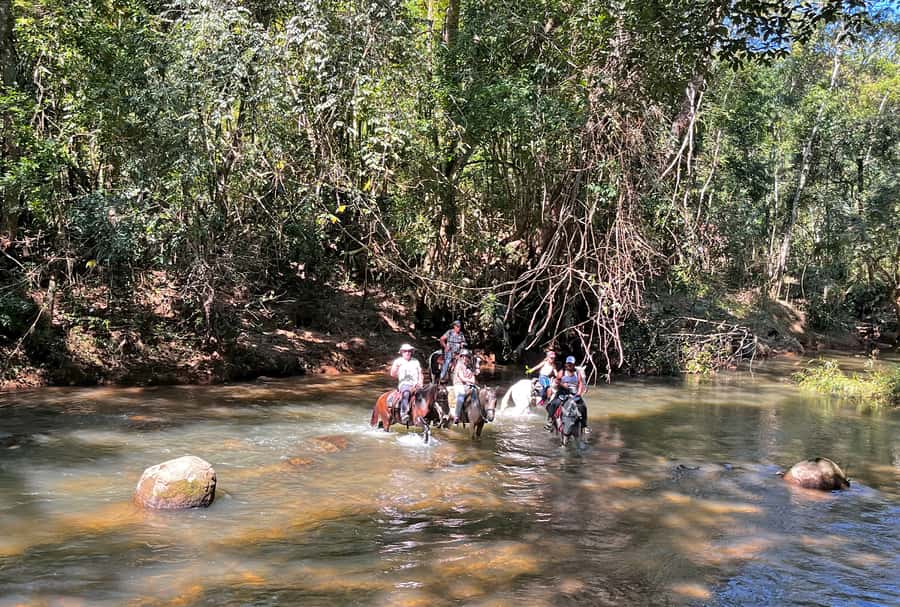 Paraty: 3-Hour Rainforest Horseback Ride - Lookouts above Paraty and the bay