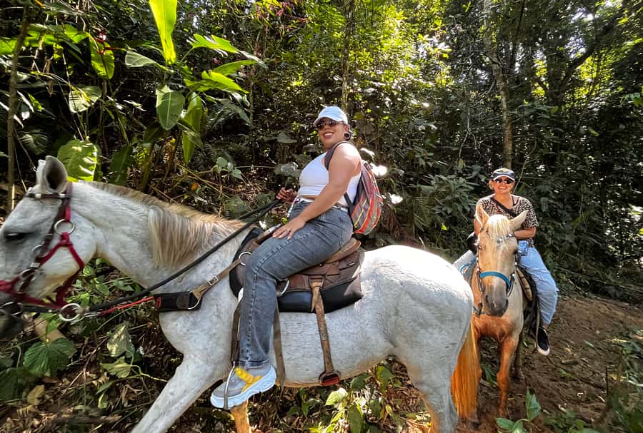 Paraty: 3-Hour Rainforest Horseback Ride - What the guide and horse care add