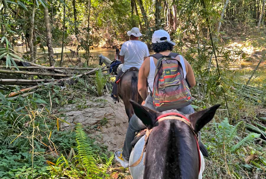 Paraty: 3-Hour Rainforest Horseback Ride - Is $120 a fair price?