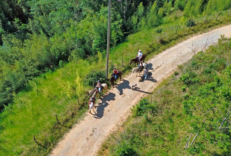 Paraty: 3-Hour Rainforest Horseback Ride - Getting comfortable before the forest ride