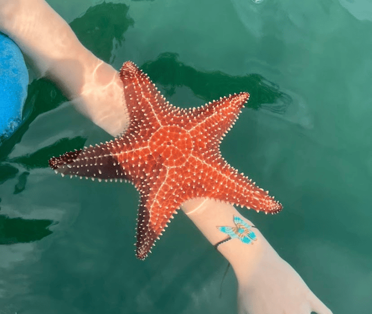 Paraty: A Private Speedboat Experience in Mamangua - What Thiago adds to the day