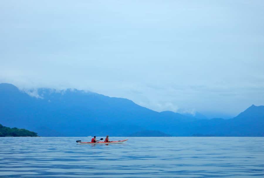 Paraty Bay: Half-Day Mangroves and Beaches Tour by Kayak - The mangroves depend on the tide