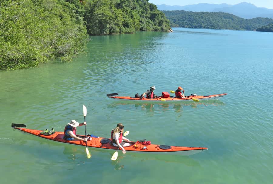 Paraty Bay: Half-Day Mangroves and Beaches Tour by Kayak - Wildlife, guiding, and what makes this route different