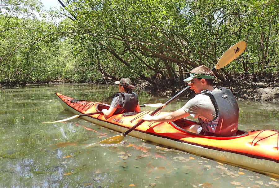 Paraty Bay: Half-Day Mangroves and Beaches Tour by Kayak - Crossing the calm waters between Paraty’s islands
