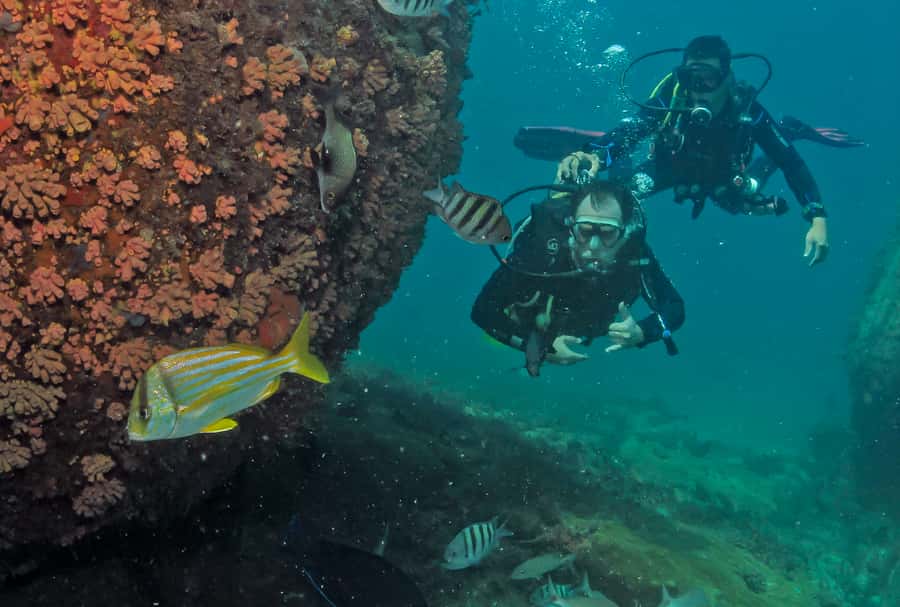 Paraty: Discovery Scuba Diving Experience for Beginners - Who Should Book This Paraty Outing?