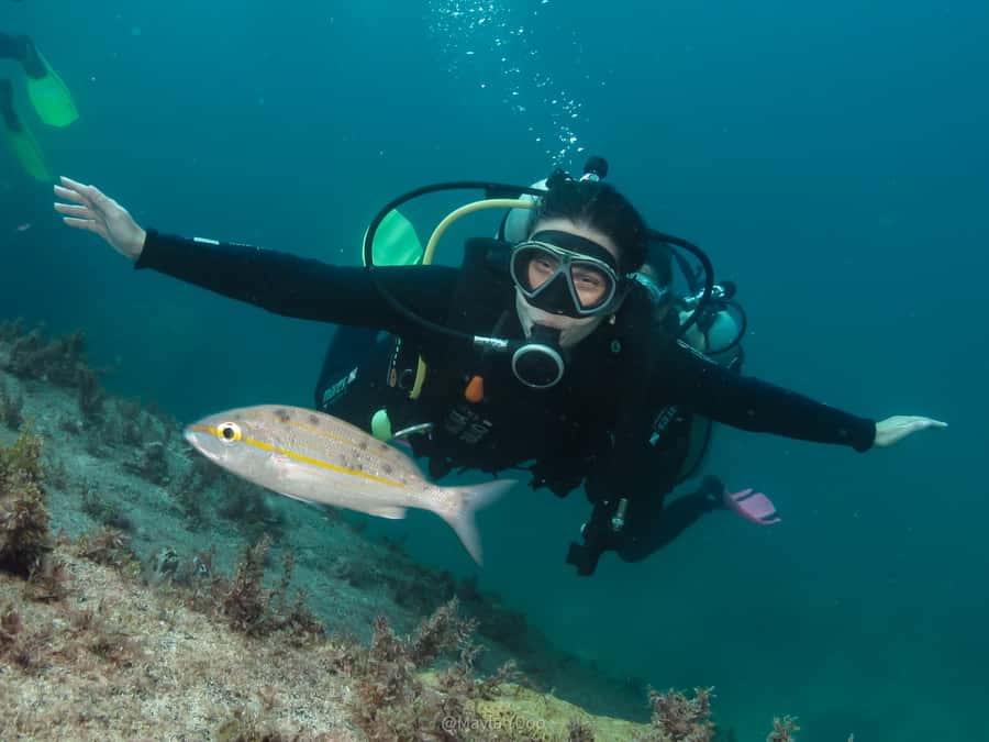 Paraty: Discovery Scuba Diving Experience for Beginners - Why Paraty Works Well for a First Scuba Session