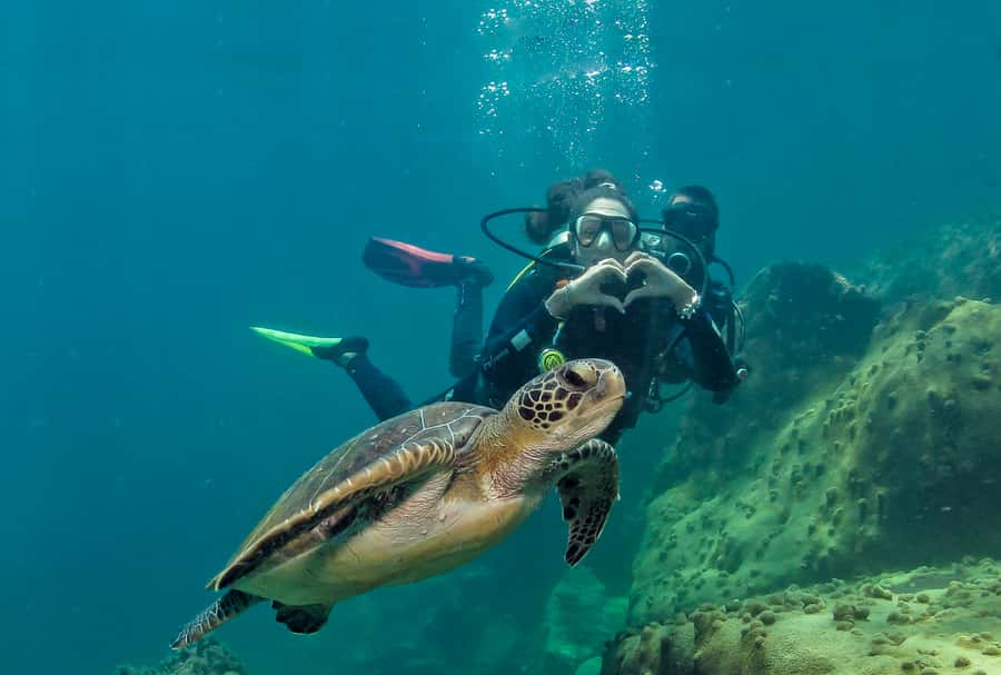 Paraty: Discovery Scuba Diving Experience for Beginners - Learning the Basics Before Entering the Water