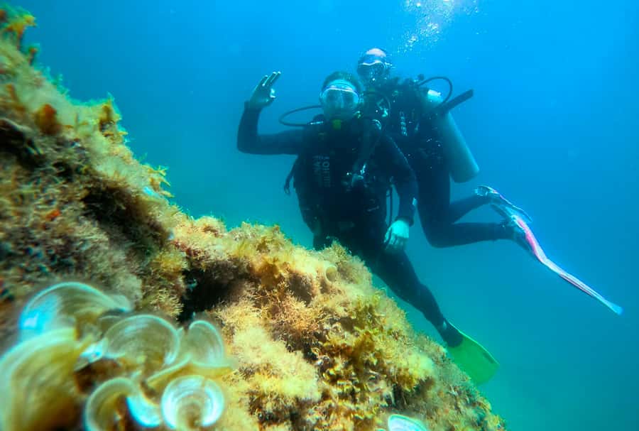 Paraty: Discovery Scuba Diving Experience for Beginners - Boat Time, Waiting, and the Five-Hour Schedule