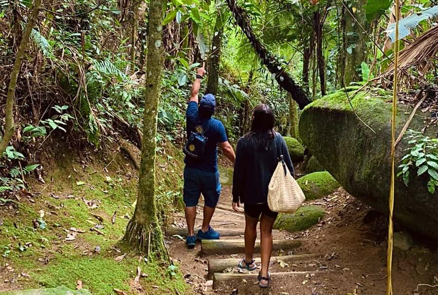 Paraty: Gold Trail Rainforest Hiking Tour - Key points at a glance