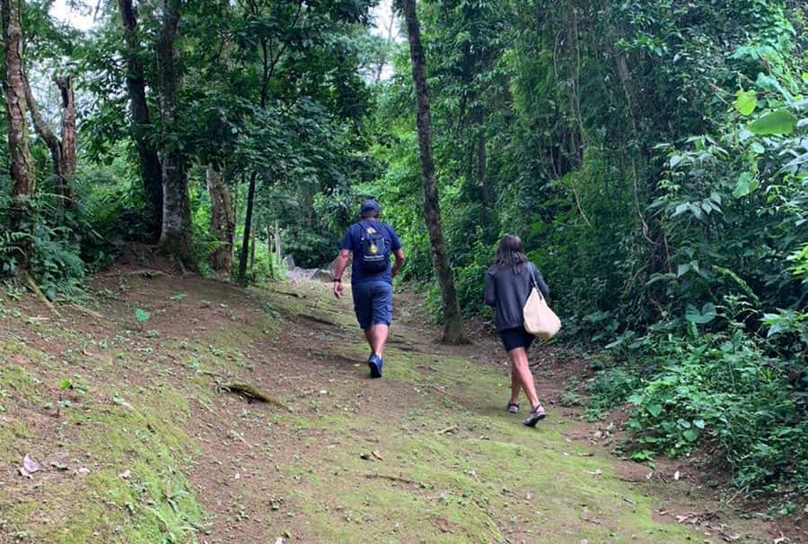 Paraty: Gold Trail Rainforest Hiking Tour - Final verdict: should you book the Gold Trail tour?