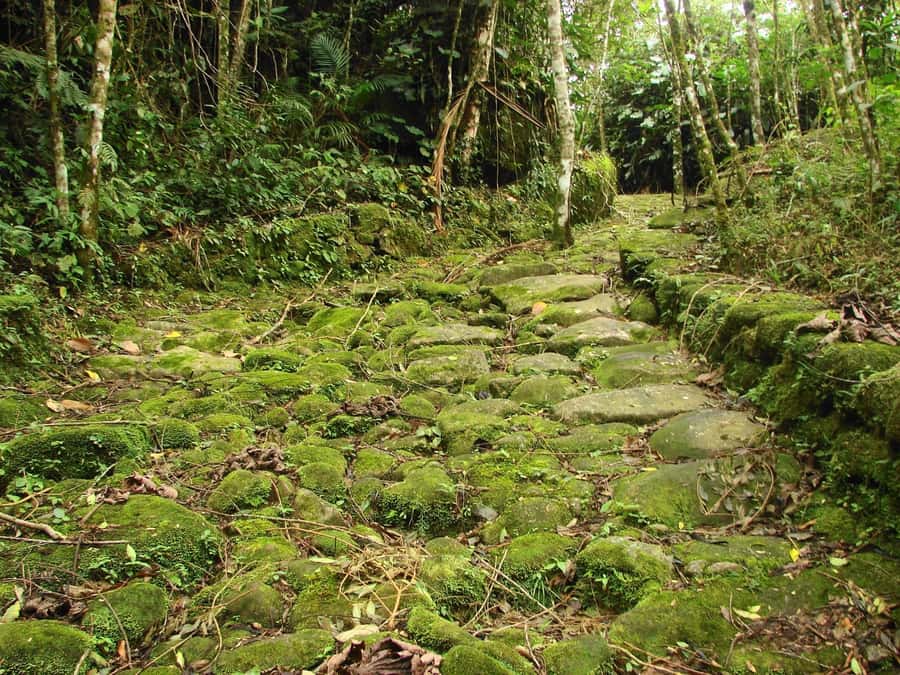 Paraty: Gold Trail Rainforest Hiking Tour - The optional Tobogã Waterfall and distillery visit
