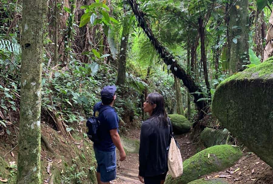 Paraty: Gold Trail Rainforest Hiking Tour - What the $75 price gets you