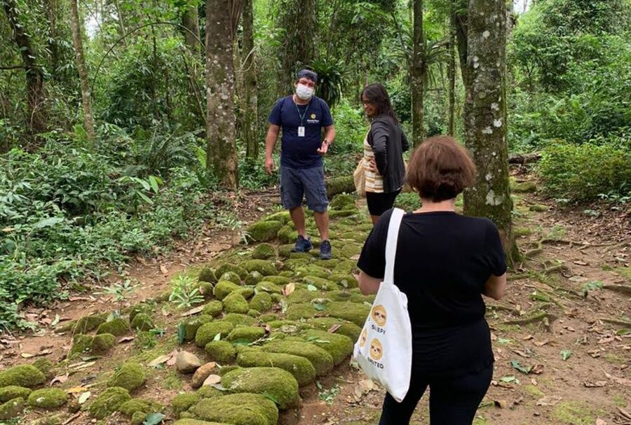 Paraty: Gold Trail Rainforest Hiking Tour - Who will enjoy this hike most