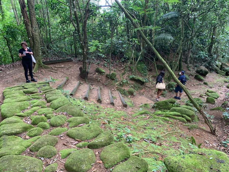 Paraty: Gold Trail Rainforest Hiking Tour - Practical preparation for the forest