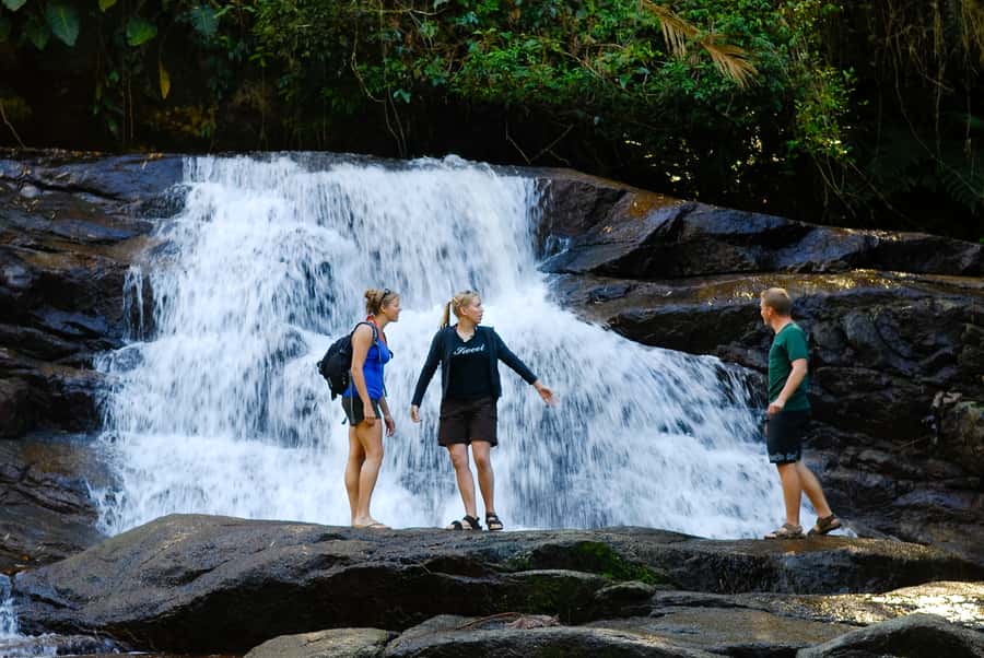 Paraty: Jungle Waterfalls and Cachaça Distillery Jeep Tour - What makes this Paraty tour worth your time