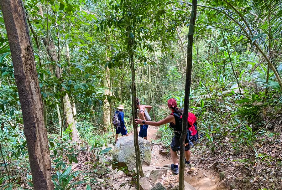 Paraty: Pão de Açucar Peak Trekking and Hiking Tour - Key points before you book