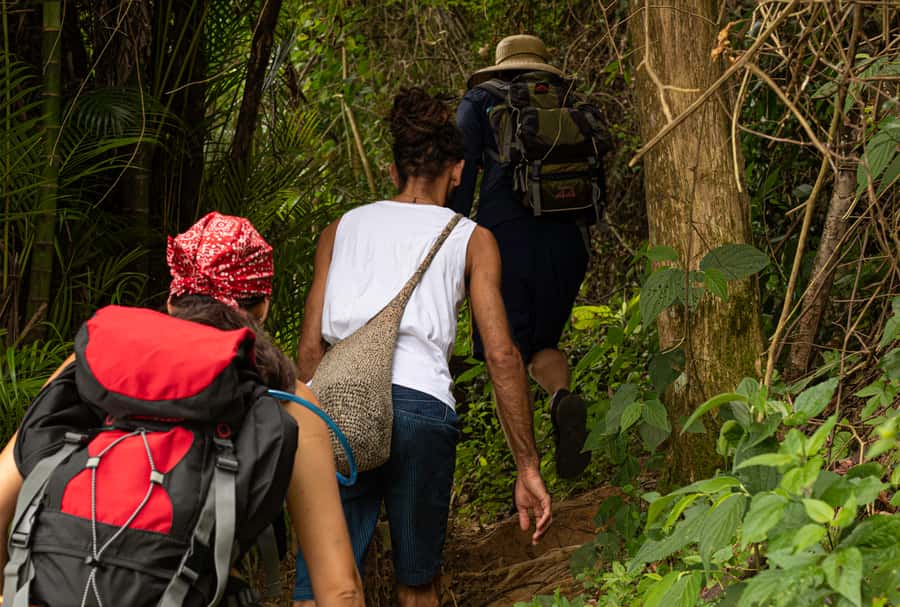 Paraty: Pão de Açucar Peak Trekking and Hiking Tour - What to bring for a smoother day