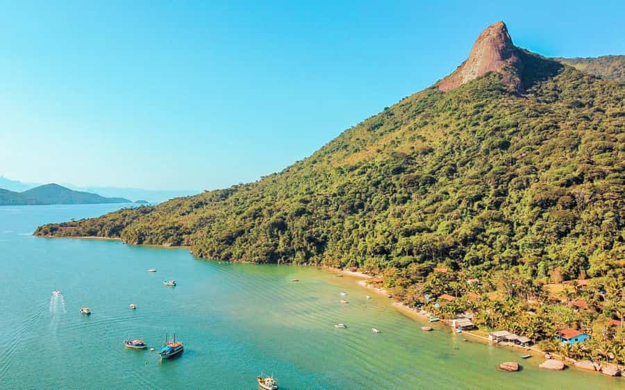 Paraty: Saco do Mamanguá Speedboat Tour - Ilha dos Cocos, clear water and fish