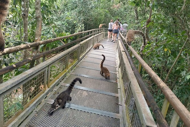 PARTICULAR TOUR of 2 days in the Iguassu Falls side BRA and ARG - Private transport, guide service, and group comfort