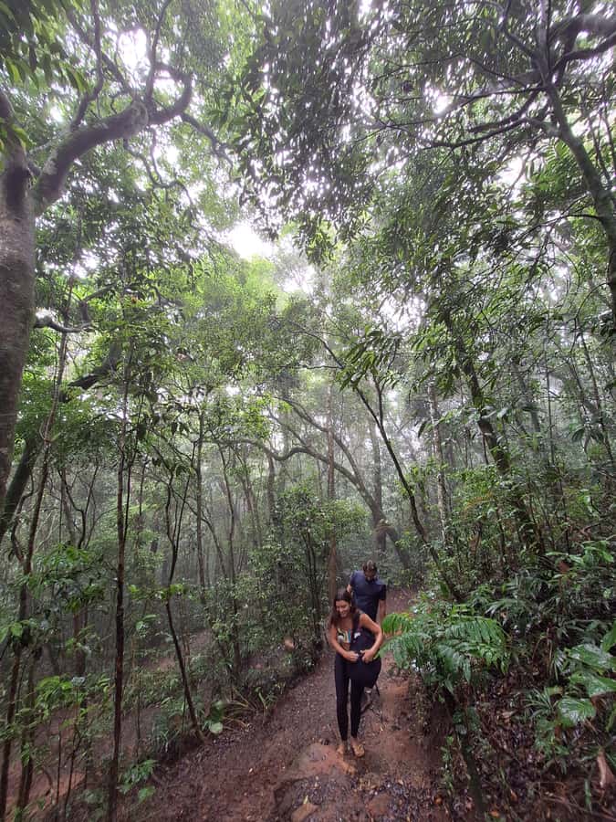 Pedra Bonita Trail: The easiest trail with a beautiful view of Rio - Getting there is harder than walking there