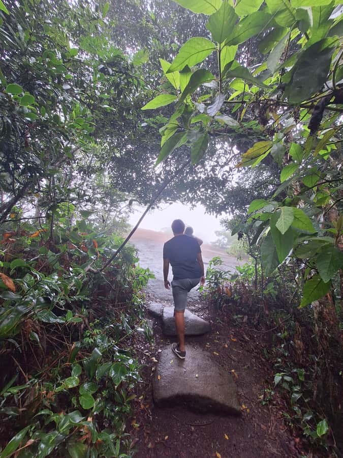 Pedra Bonita Trail: The easiest trail with a beautiful view of Rio - Who will enjoy this outing most