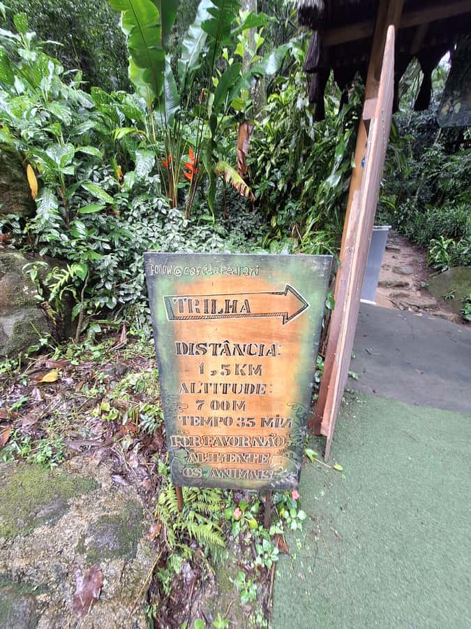 Pedra Bonita Trail: The easiest trail with a beautiful view of Rio - Guide quality and the human side of the tour