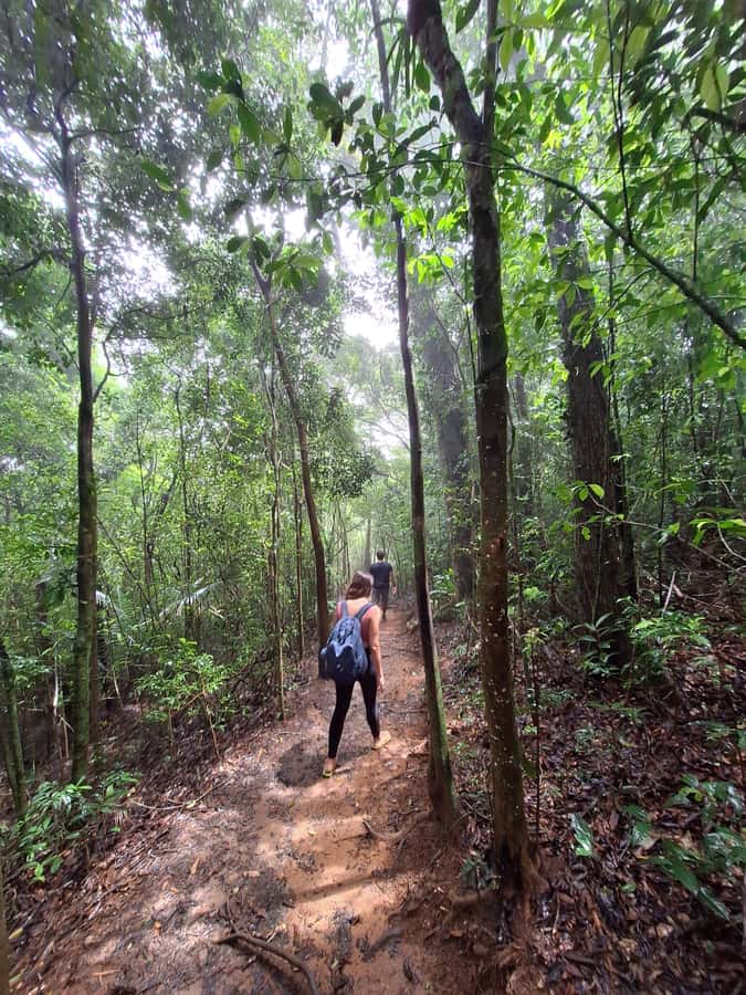 Pedra Bonita Trail: The easiest trail with a beautiful view of Rio - Booking flexibility and timing