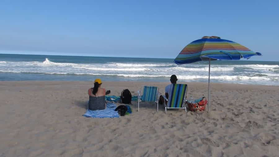 Pedra do Telégrafo Hike and Beach Full-Day Tour - What to pack for the trail and beach