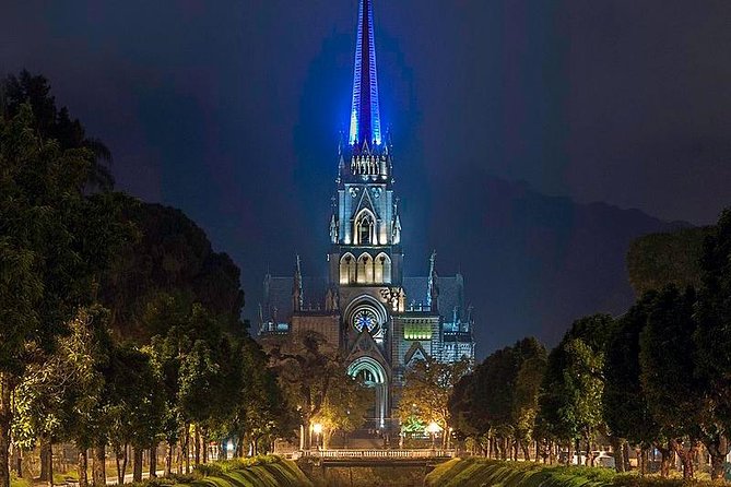 Petropolis City Tour with Imperial Museum and Optional Lunch & Bohemia Brewery - São Pedro de Alcântara Cathedral