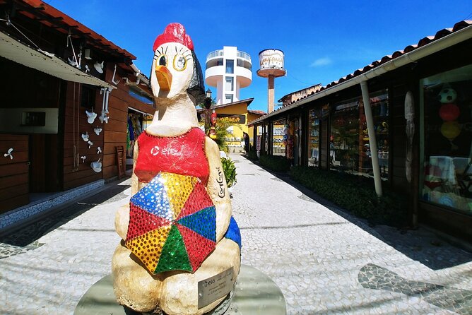 Port of Chicken - Private Transfer - From Recife Airport to Porto de Galinhas in one organized ride