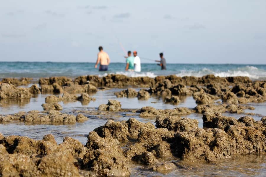 Porto Galinhas Full Day Tour - Key points to know before you book