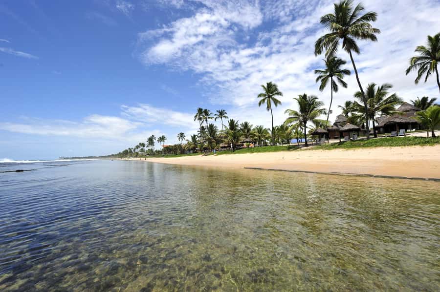 Porto Galinhas Full Day Tour - Why Porto Galinhas makes a good day from Recife
