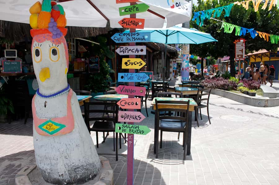 Porto Galinhas Full Day Tour - What the $36 price gets you